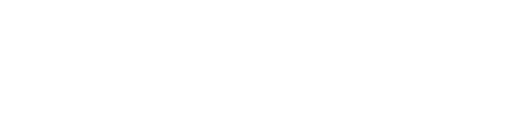 Visana Logo